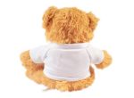 Photo Teddy Bear
