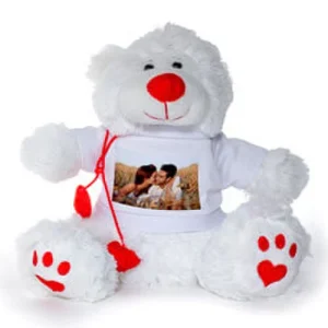 Snowy Photo Teddy Bear