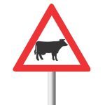 Domestic Animals (Cattle) Road Sign (W310)