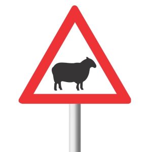 Sabs Domestic Animals (Sheep) Road Sign (W312)