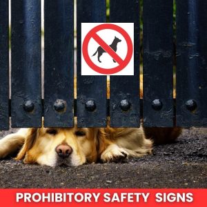 No Dogs Safety Sign (PV20)