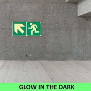 SABS Arrow diagonal up Left and running man left photoluminescent (E12)