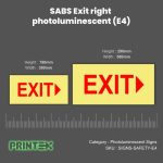 SABS Exit right photoluminescent (E4)