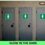 SABS Ladies toilet photo luminescent safety sign (E27)