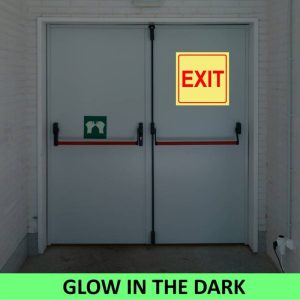 SABS Red Exit Photo Luminescent (glow in the dark) safety sign (EXIPLV)