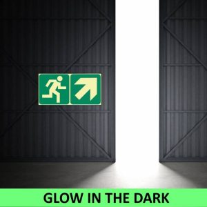 SABS Running Man with Diagonal arrow up right photoluminescent (E11) (2)