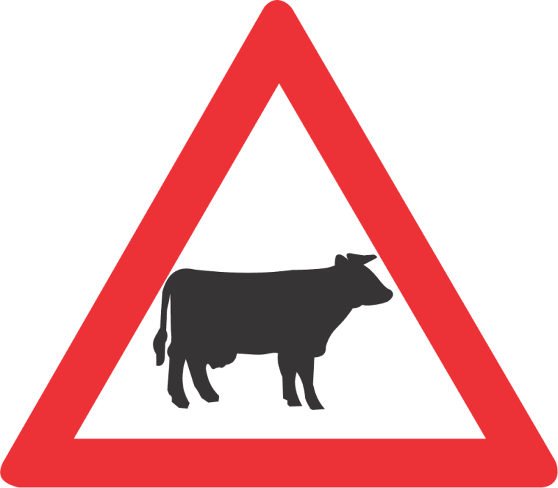 DOMESTIC ANIMALS (CATTLE) ROAD SIGN (W310)