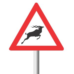 Wild Animals Ahead Road Sign (W313)