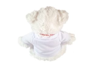 Snowy Photo Teddy Bear