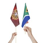 Custom Printed Hand Flags