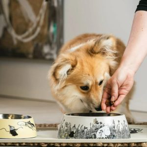 Personalised Melamine Pet Dog Bowl