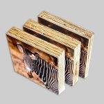 Photo Shutter Blocks