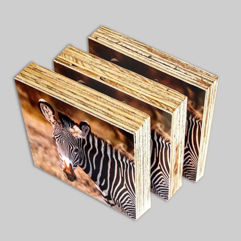 Photo Shutter Blocks