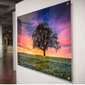 acrylic wall art prints