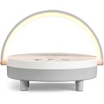 Swiss Cougar Anchorage Bluetooth Speaker