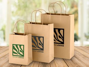 Paper Gift Bags